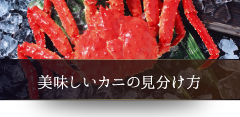 美味しいカニの見分け方